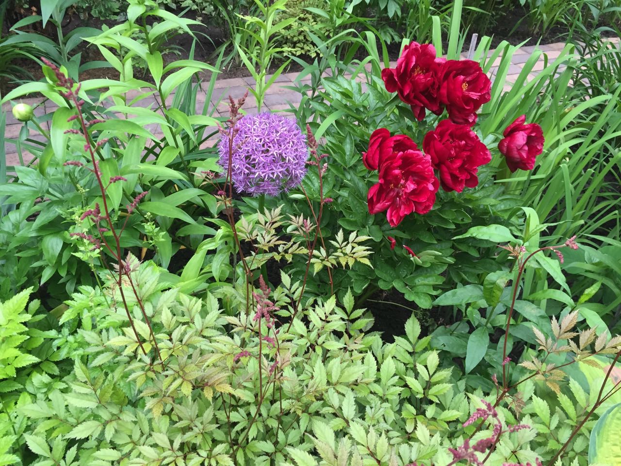 Проект Горки 2