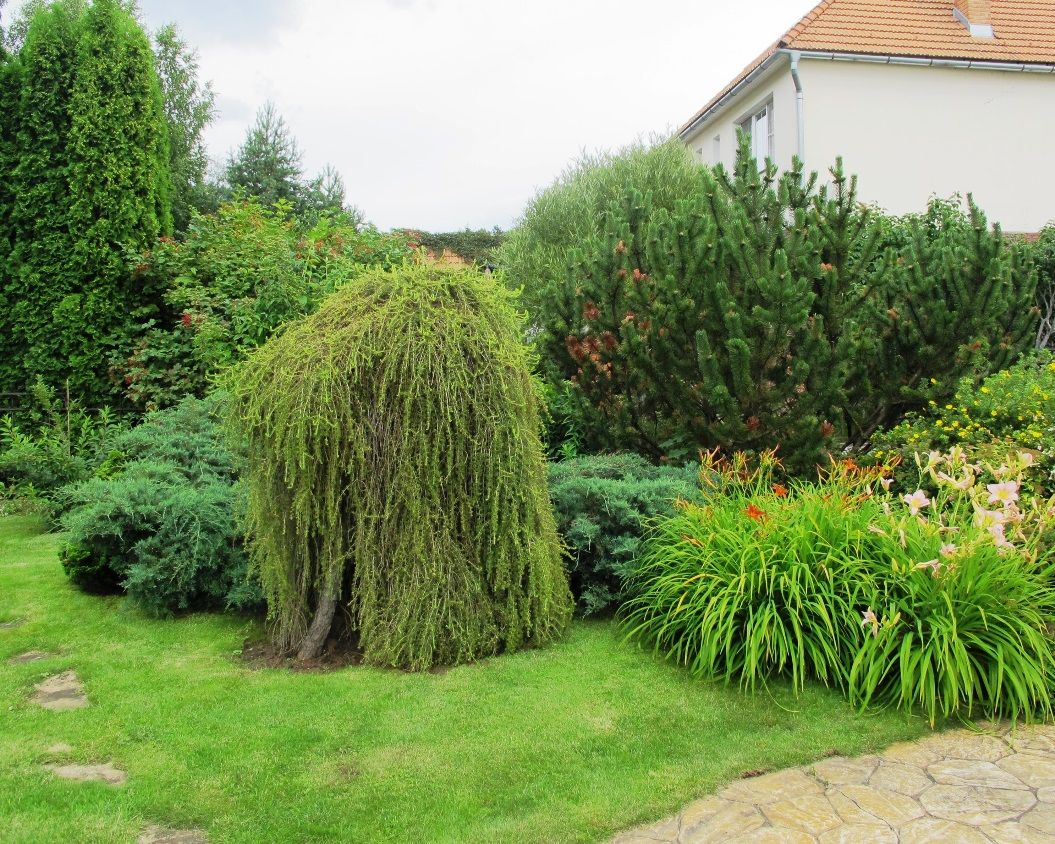 Ливадия на Истре